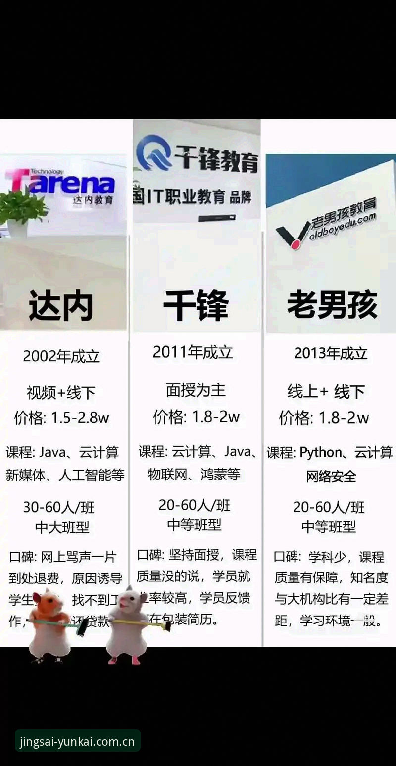 云开竞技数据vs传统数据工具：哪个更适合实时赛事分析？